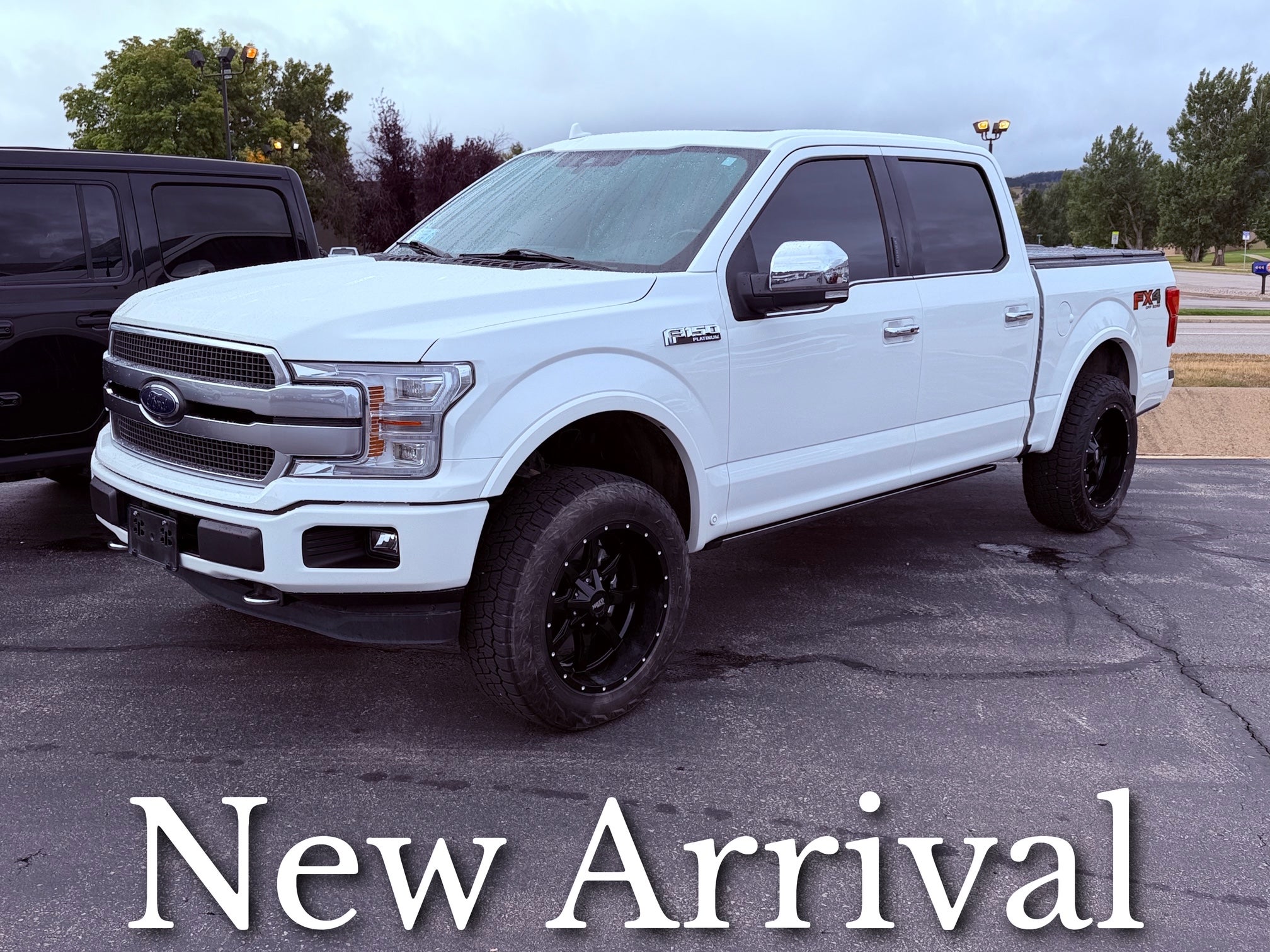 2020 Ford F-150 Platinum 4WD SuperCrew 5.5' Box