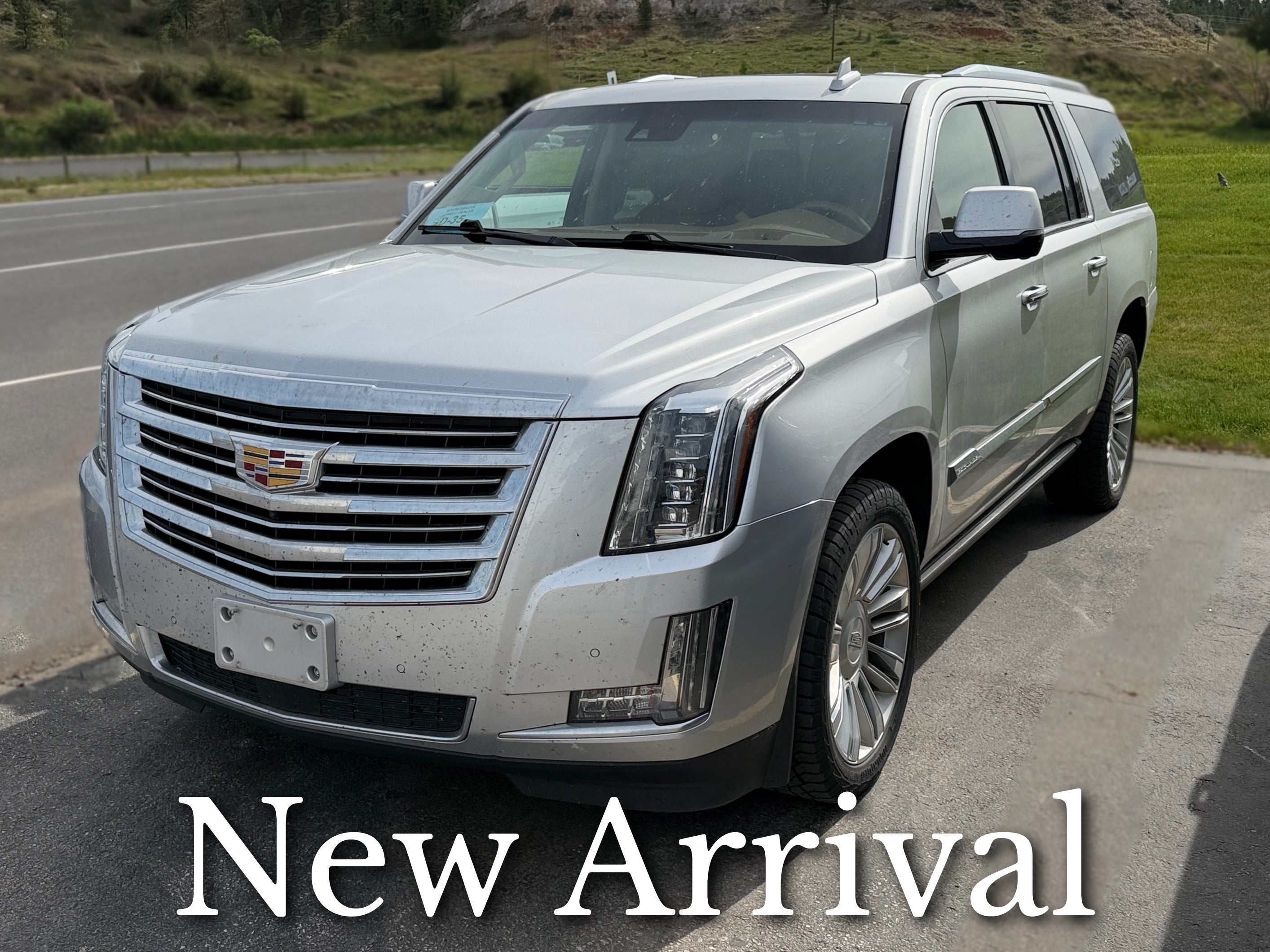 2016 Cadillac Escalade ESV 4WD Platinum