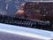 2021 RAM 2500 Power Wagon Crew Cab 4x4 6'4" Box